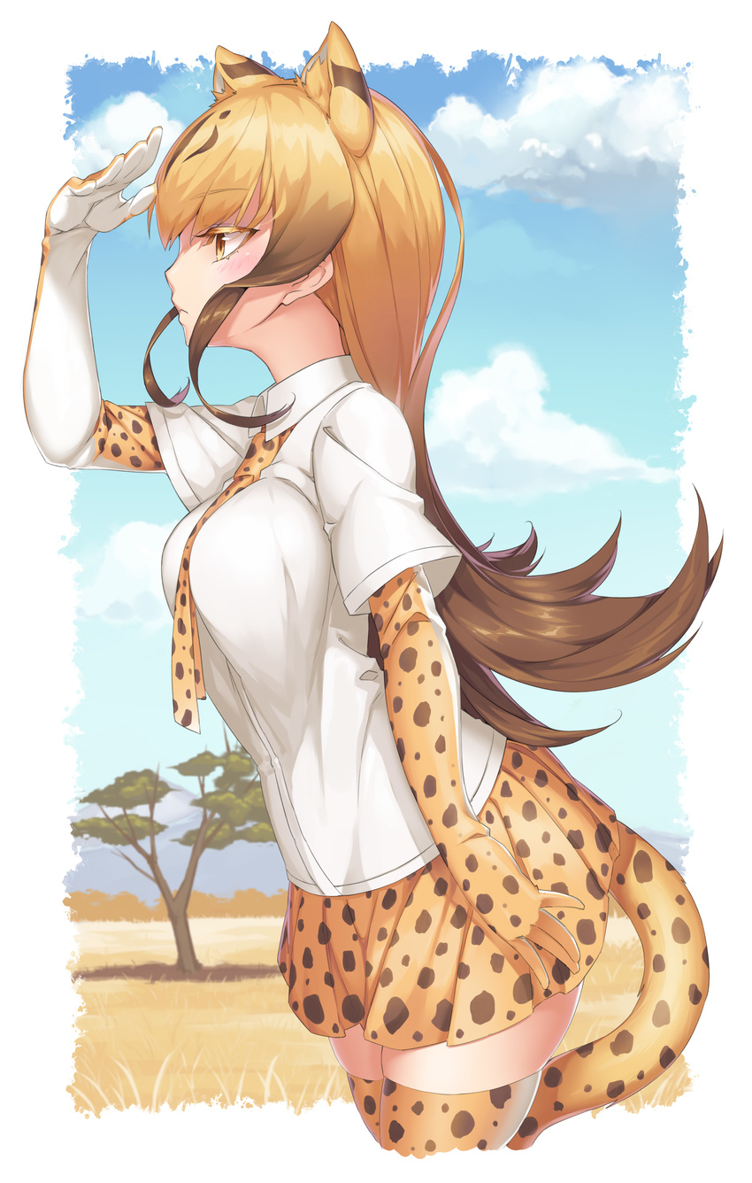 :| absurdres animal_ears animal_print arm_at_side bad_id bad_pixiv_id between_breasts blonde_hair blue_sky blush border breasts brown_eyes brown_hair cheetah_(kemono_friends) cheetah_ears cheetah_girl cheetah_print cheetah_tail closed_mouth cloud collared_shirt colored_eyelashes commentary cowboy_shot day expressionless extra_ears eyelashes female from_side gloves gradient_hair gradient_sky hand_on_own_forehead highres jpeg_artifacts kemono_friends large_breasts long_hair looking_afar looking_away mountain multicolored_eyes multicolored_hair necktie necktie_between_breasts neko7 outdoors outside_border photoshop_(medium) pleated_skirt print_thighhighs profile savannah shirt sidelocks skindentation skirt sky solo tail thighhighs tree tsurime two-tone_hair white_border white_shirt wing_collar yellow_eyes zettai_ryouiki