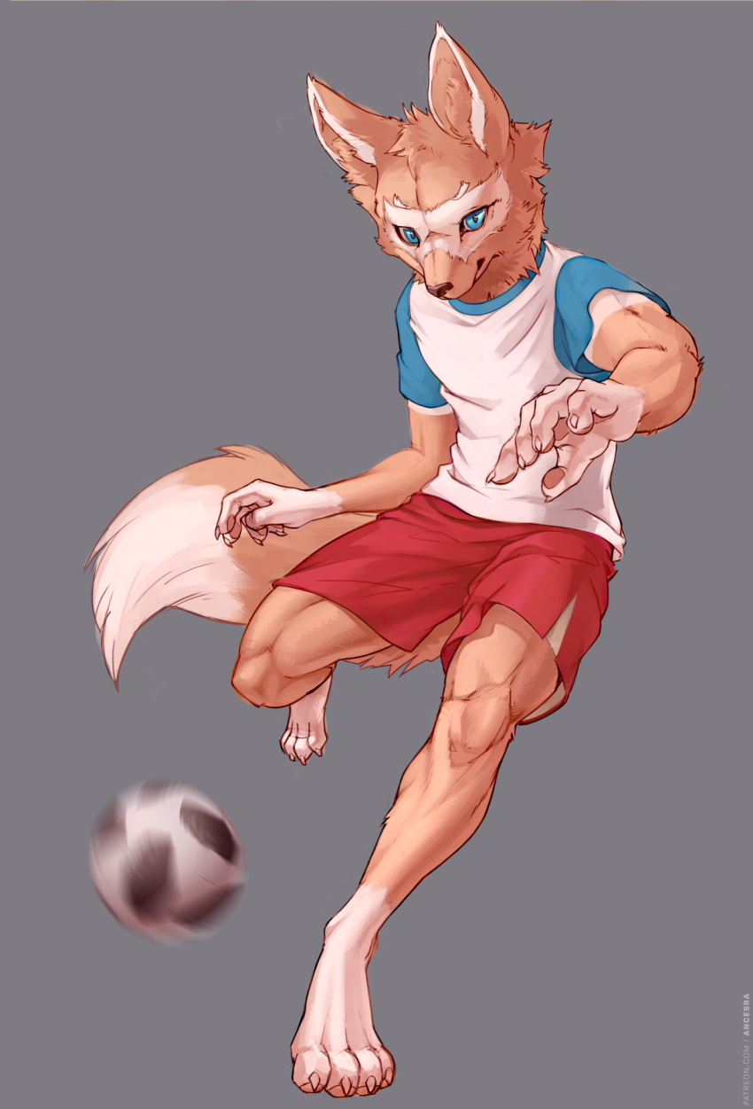 1boy 2018_fifa_world_cup ancesra animal_ears animal_nose artist_name ball barefoot blue_eyes blue_shirt body_fur brown_fur claws closed_mouth clothes_writing commentary english_commentary english_text furry furry_male grey_background hands_up highres kicking leg_up looking_at_viewer male_focus motion_blur patreon_username pawpads red_shorts shirt short_sleeves shorts simple_background snout soccer soccer_ball soccer_uniform solo sportswear standing standing_on_one_leg tail toned toned_male two-tone_fur v-shaped_eyebrows vest watermark web_address white_fur white_vest wolf_boy wolf_ears wolf_tail world_cup zabivaka