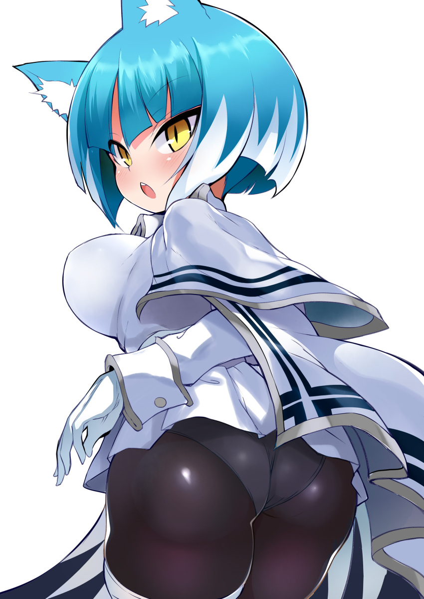 absurdres animal_ears asagi_(bombergirl) ass bad_id bad_twitter_id black_pantyhose blue_hair blush bombergirl breasts capelet female gloves grey_panties highres jacket large_breasts long_sleeves looking_at_viewer looking_back open_mouth panties panties_under_pantyhose pantyhose shimejinameko short_hair slit_pupils solo thighs underwear white_capelet white_gloves white_jacket wolf_ears wolf_girl yellow_eyes