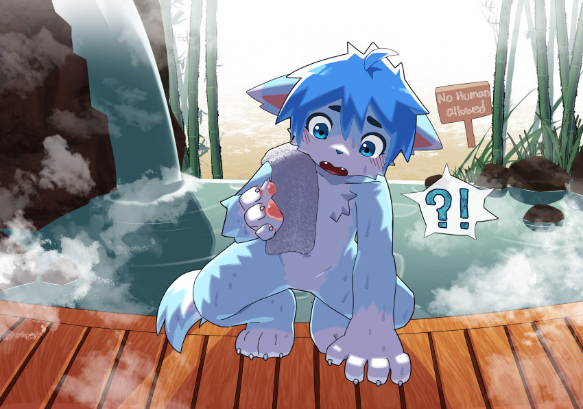 absurd_res anthro blue_body blue_collar blue_eyes blue_fur blue_hair blue_tail blush blush_lines canid canine chest_tuft collar female fox fur hair hi_res hot_spring intersex intersex/female kemono male mammal mikey_(mikey_fox) onsen open_mouth pawpads paws shy solo tail terri_the_dragon transformation tuft water