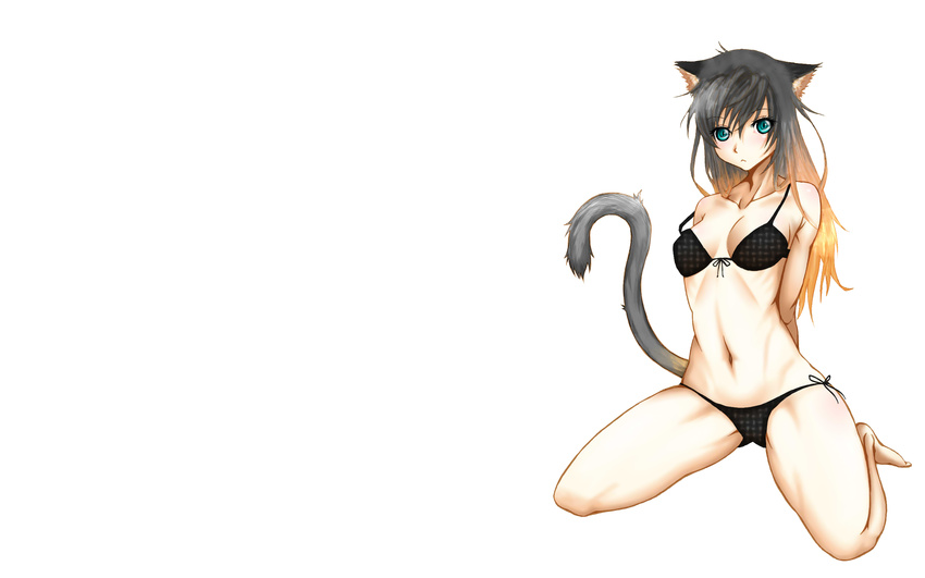 191karasu animal_ears bikini black_hair blue_eyes catgirl long_hair navel original swimsuit tail white