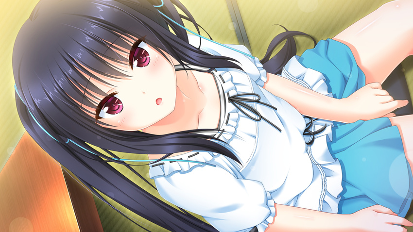 black_hair blue_skirt blush collarbone female game_cg long_hair looking_at_viewer onii-chan,_kiss_no_junbi_wa_mada_desu_ka? open_mouth pink_eyes seguchi_yayoi shirt short_sleeves sitting skirt solo tinkle_position twintails white_shirt