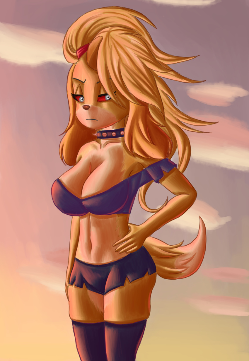 2022 absurd_res animal_crossing anthro big_breasts black_collar blonde_hair blue_clothing bottomwear breasts brown_nose canid canine canis cleavage clothed clothing cloud collar demongirl_demoness digital_drawing_(artwork) digital_media_(artwork) domestic_dog eyebrows female fingers floppy_ears fur hair half-closed_eyes hand_on_hip helluva_boss hi_res isabelle_(animal_crossing) legwear looking_aside loona_(helluva_boss) mammal midriff multicolored_body multicolored_fur narrowed_eyes navel nintendo portrait red_sclera shaded shih_tzu shorts simple_background solo spiked_collar spikes thigh_highs three-quarter_portrait toy_dog white_body white_eyes white_fur yellow_body yellow_fur