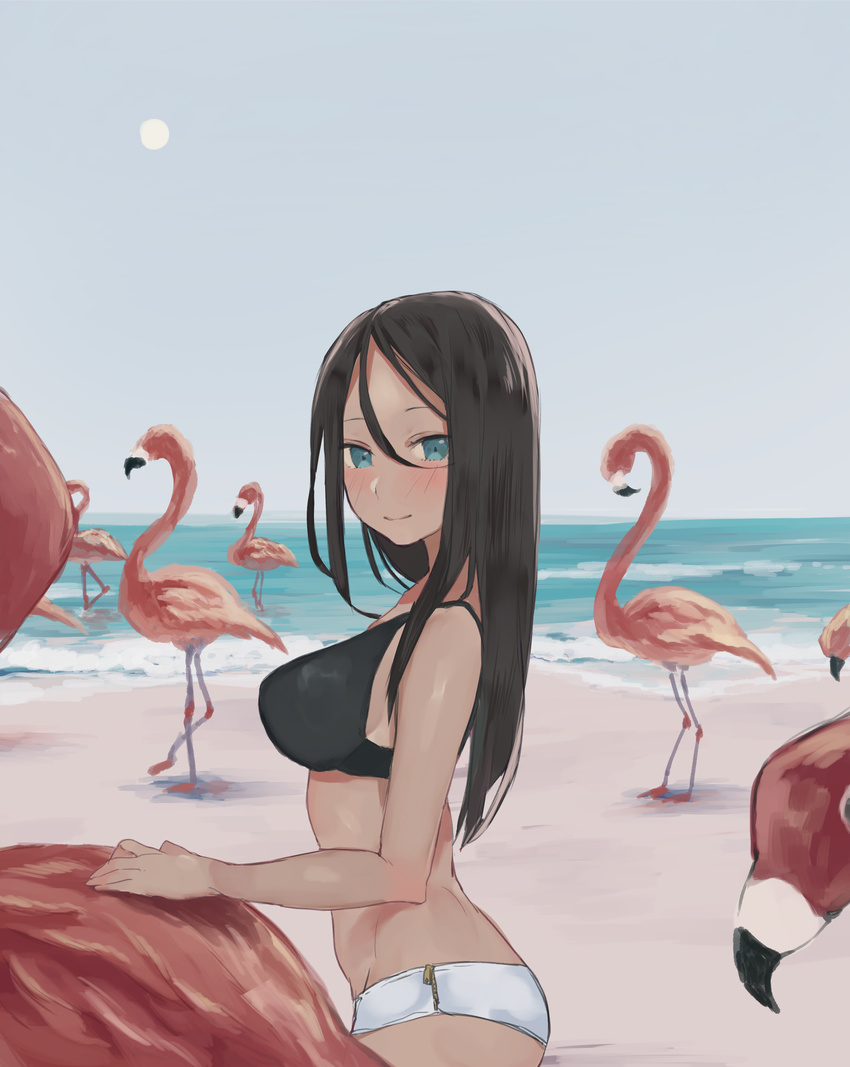 absurdres bad_id bad_tumblr_id beach bikini bird black_bikini black_hair blue_eyes blush breasts day female flamingo flock from_side hair_between_eyes highres long_hair looking_at_viewer medium_breasts mismatched_bikini outdoors school_girl_strikers shiranui_hazuki smile solo swimsuit uni_(melm) white_bikini