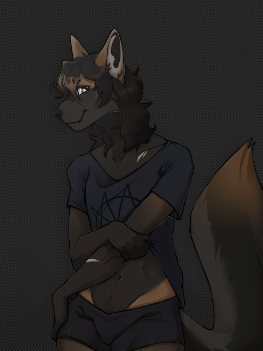 absurd_res anthro belly black_bottomwear black_clothing black_hair black_nose blue_clothing blue_shirt blue_topwear bottomwear boxers_(clothing) brown_body brown_ears canid canine closed_smile clothed clothed_anthro clothed_male clothing cute_fangs fox fully_clothed fully_clothed_anthro fully_clothed_male grey_body hair hi_res kyjaanka looking_at_viewer male mammal midriff mouth_closed multicolored_body navel portrait raised_tail shirt simple_background smile smiling_at_viewer solo tail three-quarter_portrait topwear underwear