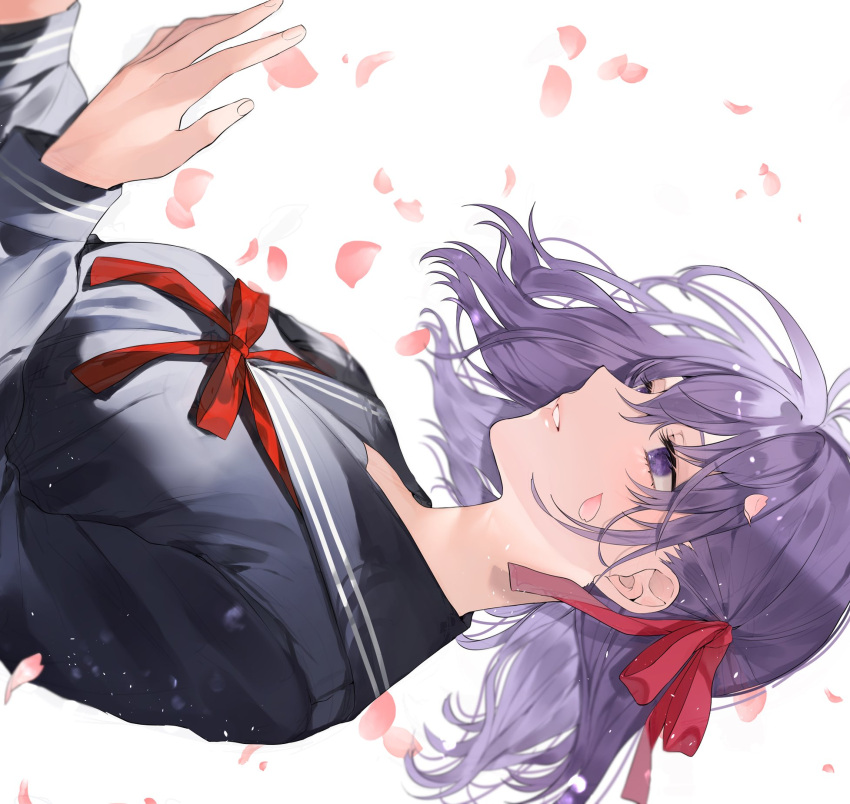 black_shirt breasts commentary fate/stay_night fate_(series) female floating_hair from_side hair_ribbon hand_up highres long_hair long_sleeves matou_sakura medium_hair neck_ribbon parted_lips petals purple_eyes purple_hair red_ribbon ribbon sailor_collar shimatori_(sanyyyy) shirt simple_background solo symbol-only_commentary teeth upper_body