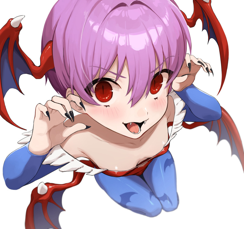 absurdres animal_print arms_up bare_shoulders bat_print bat_wings black_nails blue_pantyhose blush breasts bridal_gauntlets collarbone commentary darkstalkers demon_girl english_commentary fangs female fingernails from_above head_wings highres leotard lilith_(darkstalkers) long_fingernails looking_at_viewer looking_up low_wings off-shoulder_leotard open_mouth pantyhose print_pantyhose purple_hair red_eyes red_leotard short_hair simple_background slit_pupils small_breasts solo teeth white_background wings yan_(s2_yan)