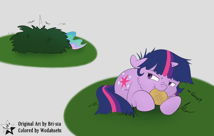 2015 absurd_res bri-sta cookie cutie_mark duo equid equine female food friendship_is_magic fur grass hair hasbro hi_res horn mammal multicolored_hair my_little_pony mythological_creature mythological_equine mythology plant princess_celestia_(mlp) purple_body purple_eyes purple_fur purple_hair shrub twilight_sparkle_(mlp) two_tone_hair unicorn wodahseht