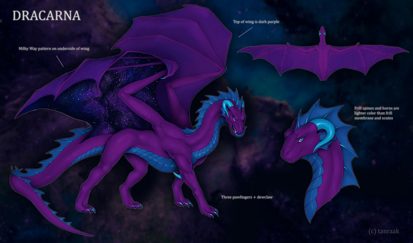 blue_body blue_eyes blue_scales claws curled_horn digitigrade dracarna dragon english_text european_mythology female feral hi_res horn looking_at_viewer membrane_(anatomy) membranous_wings model_sheet mythological_creature mythological_scalie mythology pupils purple_body rakisha scales scalie sharp_teeth side_view slit_pupils solo tail teeth text tongue tongue_out western_dragon wings