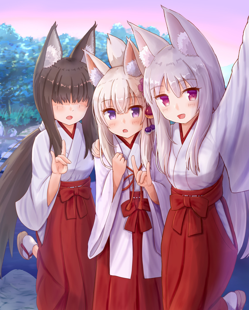 3girls :d absurdres animal_ear_fluff animal_ears arm_up black_hair blonde_hair blush borrowed_character breasts brown_footwear commentary_request flower folded_ponytail fox_ears fox_girl fox_shadow_puppet fox_tail girl_sandwich grey_hair hair_between_eyes hair_flower hair_ornament hakama hakama_skirt hand_on_another's_shoulder highres iroha_(iroha_matsurika) japanese_clothes kimono koyoi_(iroha_(iroha_matsurika)) long_hair long_sleeves low_ponytail miko multiple_girls open_mouth original outdoors ponytail purple_eyes purple_flower red_eyes red_hakama sandals sandwiched selfie skirt small_breasts smile socks standing standing_on_one_leg tabi tail very_long_hair white_kimono white_legwear wide_sleeves zouri