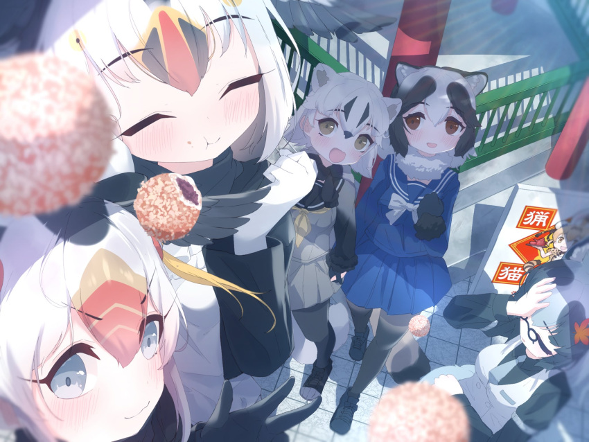 6+girls alternate_hairstyle animal_ears atlantic_puffin_(kemono_friends) badger_ears badger_girl badger_tail bird_girl bird_wings black_hair black_shirt blonde_hair blue_eyes blue_jacket blue_sky bow bowtie brown_eyes brown_footwear brown_fur brown_gloves brown_pantyhose brown_sweater cat_ears cat_girl cat_tail china_dress chinese_clothes closed_eyes danzaburou-danuki_(kemono_friends) double_bun dress eating fur_collar fur_trim glasses gloves gradient_sweater grey_necktie grey_skirt grey_sweater hair_between_eyes hair_bun hand_on_own_face head_wings highres jacket japanese_badger_(kemono_friends) kemono_friends loafers long_sleeves multicolored_hair multiple_girls neckerchief necktie official_alternate_costume open_mouth orange_hair pantyhose pleated_skirt print_dress puffy_short_sleeves puffy_sleeves red_hair sailor_collar sarutori school_uniform serafuku serval_(kemono_friends) serval_print shirt shoes short_sleeves sidelocks sign skirt sky smile sweater sweater_around_neck tail tanuki_(kemono_friends) teapot translation_request tray tufted_puffin_(kemono_friends) two-tone_hair vest white_bow white_bowtie white_fur white_hair white_vest wings yellow_eyes yellow_neckerchief