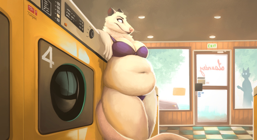 2022 american_opossum anthro appliance being_watched belly big_belly bra breasts brown_eyes car cheek_tuft clothed clothing curvy_figure deep_navel detailed detailed_background digital_drawing_(artwork) digital_media_(artwork) exhibitionism facial_tuft female inside laundromat laundry_machine looking_at_another mammal marsupial navel neck_tuft overweight overweight_anthro overweight_female panties plant public purple_bra purple_clothing purple_panties purple_underwear tenynn thick_thighs tree tuft underwear underwear_only vehicle virginia_opossum voluptuous washing_machine whiskers wide_hips willow_(toxictoby) window