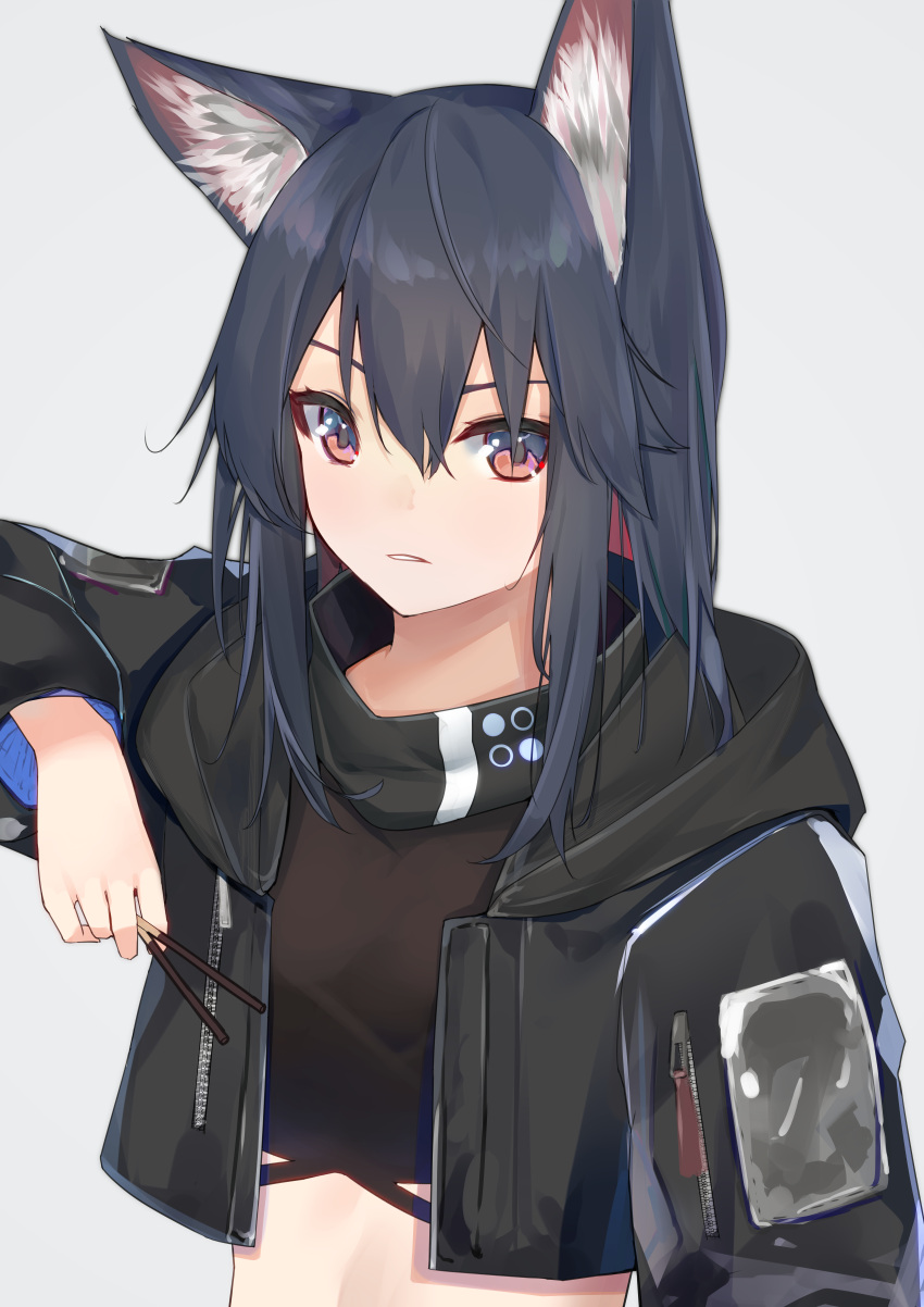 absurdres animal_ears arknights black_hair black_jacket black_shirt crop_top cropped_jacket cropped_shirt female food grey_background hair_between_eyes highres holding holding_food jacket kotoha_(kotoha65) long_hair long_sleeves looking_at_viewer midriff open_clothes open_jacket pink_eyes pocky shirt simple_background solo texas_(arknights) upper_body wolf_ears wolf_girl