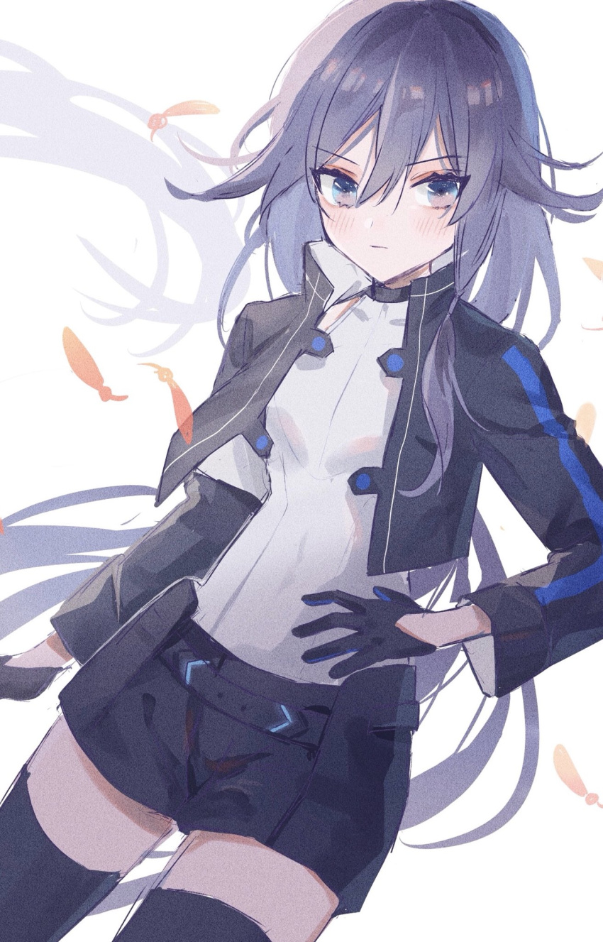 azuki_3693 bad_id bad_twitter_id black_gloves black_hair black_jacket black_thighhighs blue_eyes blue_hair blush breasts closed_mouth feathers female fu_hua gloves grey_hair hair_between_eyes hand_on_own_hip highres honkai_(series) honkai_impact_3rd jacket long_hair long_sleeves low_ponytail official_alternate_costume open_clothes open_jacket ponytail shirt shorts simple_background small_breasts solo thighhighs very_long_hair white_background white_hair