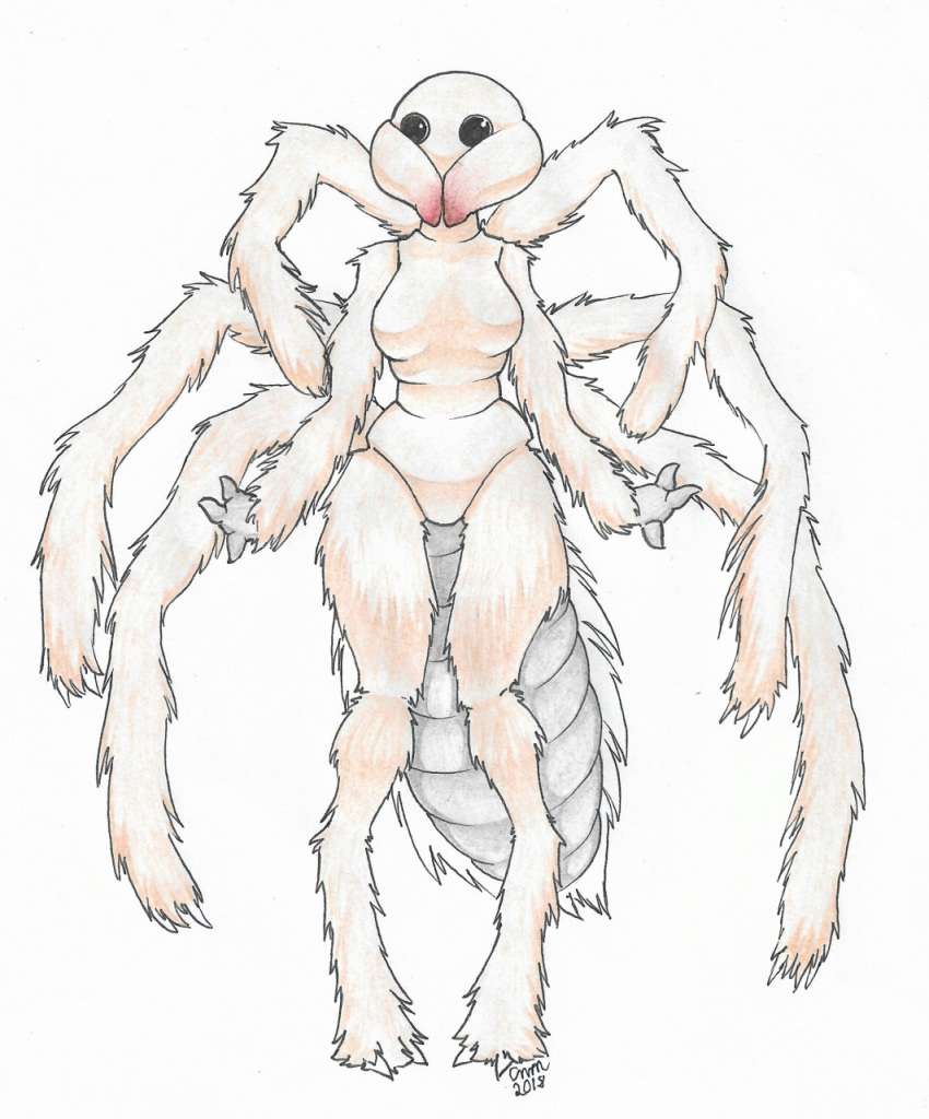 2018 2_toes 3_fingers anthro arachnid arthropod arthropod_abdomen beady_eyes biped black_eyes breasts brown_body brown_exoskeleton brown_fur camel_spider chelicerae claws exoskeleton featureless_breasts featureless_crotch feet female fingers foxydraws front_view full-length_portrait fur graphite_(artwork) hi_res knock-kneed medium_breasts mixed_media multicolored_body multicolored_fur non-mammal_breasts nude pen_(artwork) pencil_(artwork) portrait simple_background solo standing toe_claws toes traditional_media_(artwork) two_tone_body two_tone_fur white_background white_body white_fur