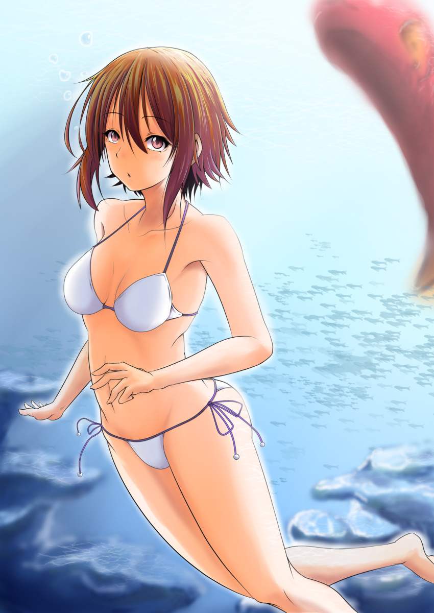 11la1047 air_bubble barefoot bikini blue_ribbon breasts brown_eyes brown_hair bubble cleavage collarbone commentary_request female fish freediving grand_blue hair_between_eyes highres holding_breath kotegawa_chisa medium_breasts parted_lips ribbon short_hair sidelocks solo swimming swimsuit underwater w white_bikini