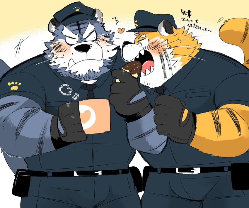 2020 anthro black_nose blush bottomwear bulge clothing duo eating felid food fur gloves group handwear heart_symbol humanoid_hands hyaku_(artist) male male/male mammal pantherine pants police police_hat police_uniform shirt tiger topwear uniform white_body white_fur yellow_body yellow_fur