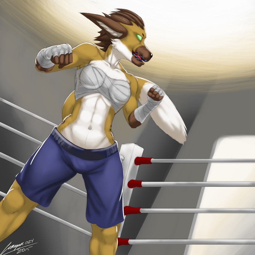 1:1 absurd_res anthro bottomwear boxing brown_hair byte cenegan024 clothing female fight fighting_ring fur green_eyes hair hi_res hyena mammal midriff navel shorts solo sport spotted_hyena tan_body tan_fur tape white_body white_fur