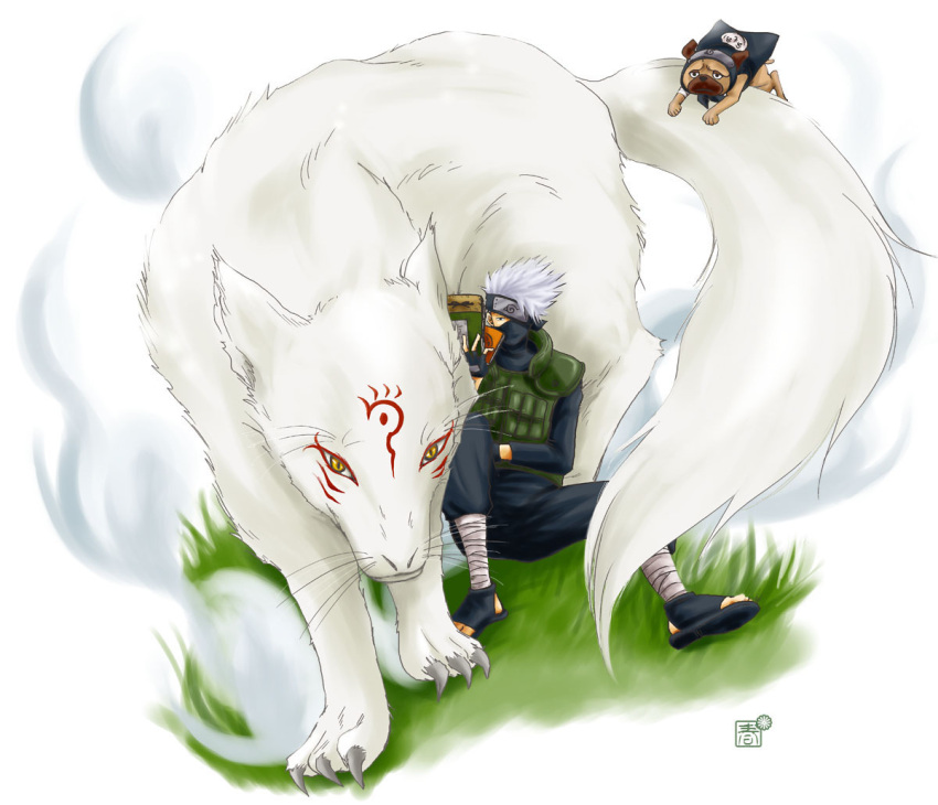 3_toes book bottomless bottomwear canid canine canis claws clothed clothing crossover facial_markings feet feral forehead_protector fox front_view fully_clothed fur grass group hair head_markings holding_book holding_object kakashi_hatake leg_wraps looking_at_viewer madara_(natsume_yuujinchou) male mammal markings mask naruto natsume's_book_of_friends nude orange_eyes outside pakkun pants plant quadruped short_hair simple_background sitting size_difference smaller_male tail takashi_natsume toes unknown_artist white_background white_body white_fur white_hair wolf wraps