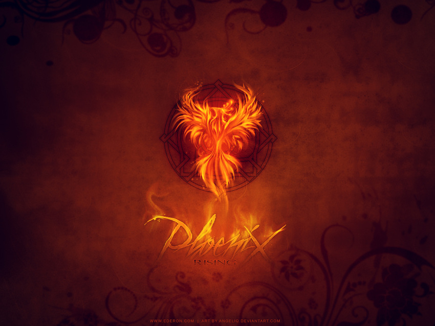 4:3 abstract_background ambiguous_gender angeliq avian european_mythology feral fire flaming_feathers greek_mythology mythological_avian mythological_bird mythological_creature mythological_firebird mythology phoenix simple_background solo text url wallpaper warm_colors