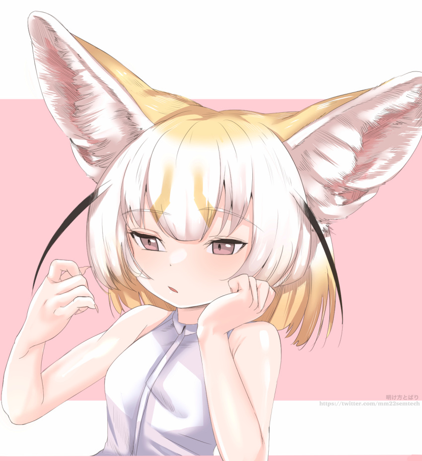 akegata_tobari animal_ear_fluff animal_ears armpit_crease artist_name black_hair blonde_hair blush breasts brown_eyes extra_ears female fennec_(kemono_friends) fox_ears fox_girl fox_tail highres inspecting kemono_friends medium_hair multicolored_hair open_mouth shirt simple_background sleeveless sleeveless_shirt small_breasts solo tail two-tone_hair upper_body web_address white_hair