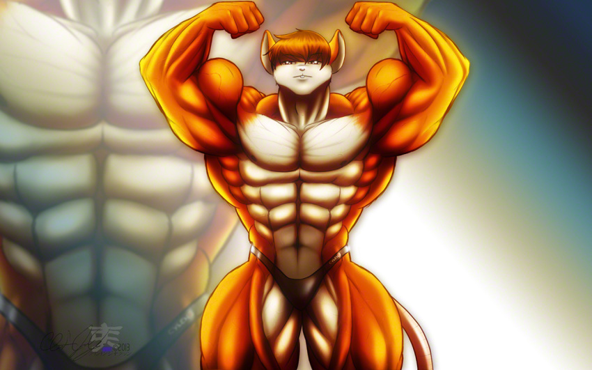 16:10 2013 abs anthro athletic biceps big_muscles biped brown_body brown_eyes brown_fur brown_hair bulge close-up clothed clothing cylnx fist flexing fur hair huge_muscles looking_at_viewer male mammal mouse murid murine muscular muscular_anthro navel nipples pecs pose raised_arm raised_fist rodent solo speedo standing swimwear tan_body tan_fur topless vein widescreen