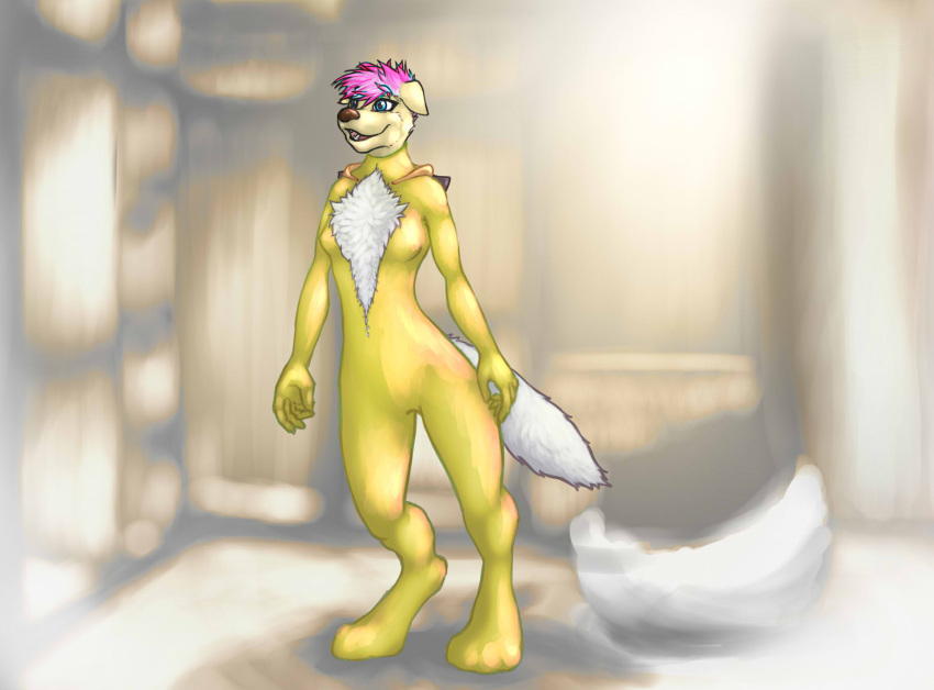 anthro blue_eyes breasts canid canine canis clothing costume domestic_dog female fox_costume fur furry_wearing_fursuit fursuit hair hi_res hood mammal multicolored_hair pink_hair shanegdraco smile solo spandex suit tight_clothing