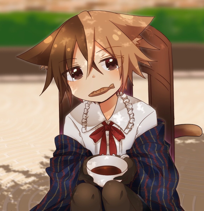 animal_ear_fluff animal_ears bad_id bad_pixiv_id black_gloves blurry blurry_background bow brown_eyes brown_hair brown_pantyhose cat_ears cat_girl cat_tail chair collared_shirt commentary_request cup depth_of_field dress_shirt female food_in_mouth frilled_shirt_collar frills gloves hair_between_eyes head_tilt holding holding_cup knees_up mouth_hold on_chair original pantyhose red_bow shawl shirt shitada sitting solo tail white_shirt