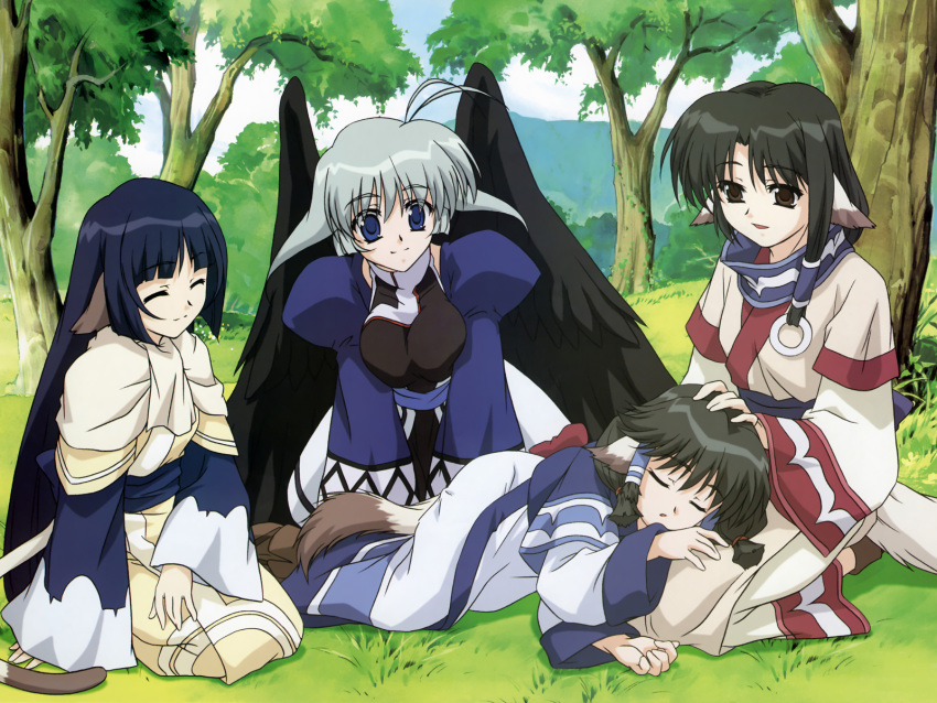 4girls animal_ears antenna_hair aruruu black_wings blue_eyes blue_hair brown_eyes brown_hair camyu closed_eyes day dog_ears dog_tail eruruu grass grey_hair hair_tubes highres lap_pillow layered_sleeves long_hair long_sleeves lying megami_magazine multiple_girls nakata_masahiko official_art on_side outdoors photoshop_(medium) robe scan seiza sitting sleeping tail taut_clothes tree utawarerumono very_long_hair wings yuzuha_(utawarerumono)