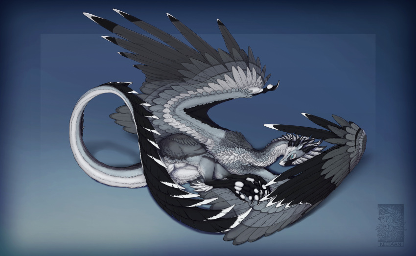 2021 ambiguous_gender black_body black_feathers blue_eyes claws digital_media_(artwork) dragon european_mythology feathered_dragon feathered_scalie feathered_wings feathers feet female_(lore) feral grey_body grey_feathers hi_res horn keltaan looking_at_viewer mythological_creature mythological_scalie mythology scalie simple_background smile solo tail talons toes western_dragon wing_claws wings wyvern