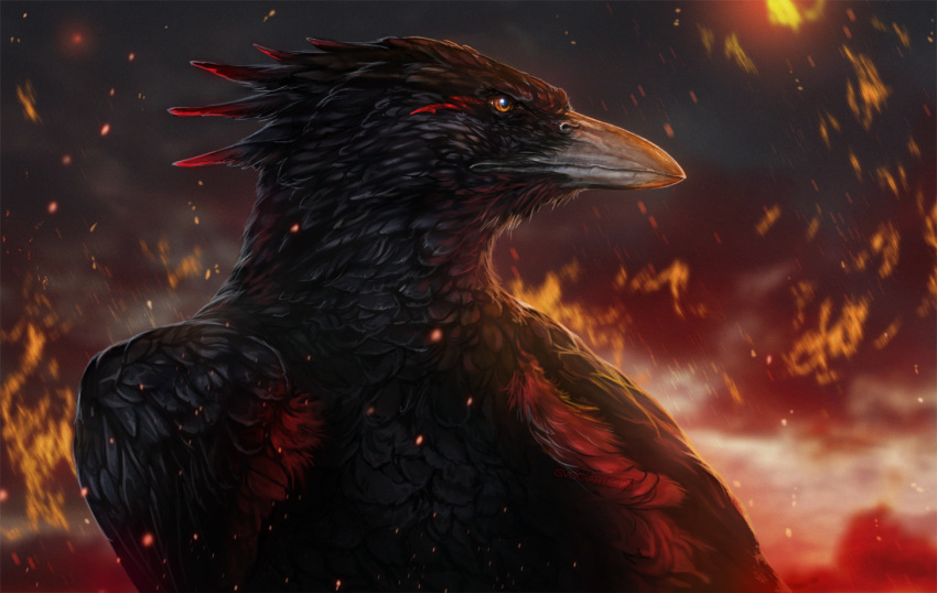 2019 ambiguous_gender avian beak bird black_body black_feathers brown_eyes day detailed_background digital_media_(artwork) european_mythology feathered_wings feathers feral greek_mythology implied_fire isvoc jade_(orzel) mythological_avian mythological_bird mythological_creature mythological_firebird mythology outside phoenix sky solo wings