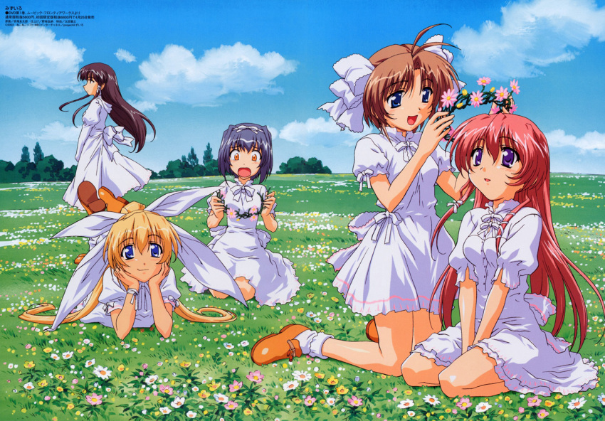 5girls artist_request blonde_hair blue_hair brown_hair cloud day dress field flower flower_field hayasaka_hiyori head_wreath katase_yuki kouzu_asami mizuiro multiple_girls onosaki_kiyoka outdoors pink_hair sky