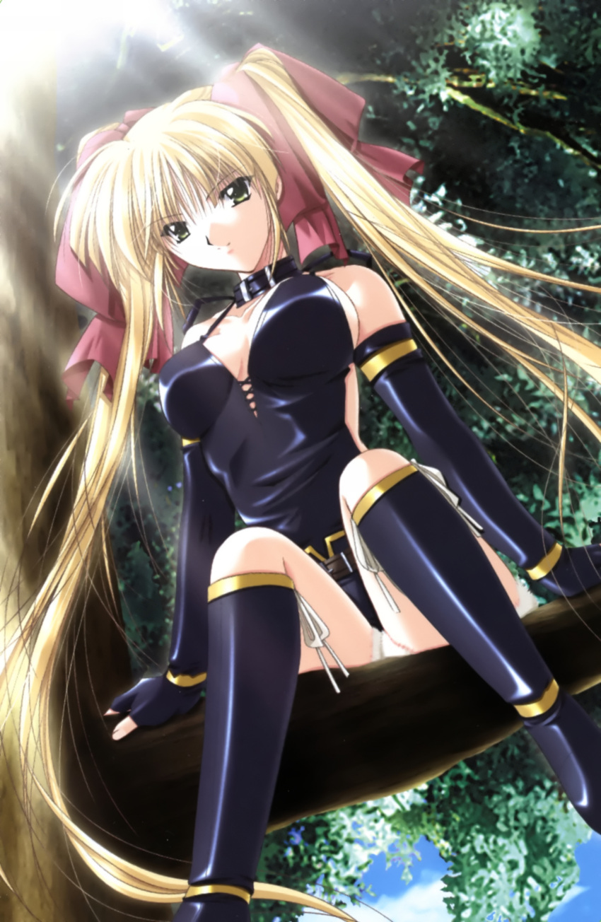 absurdres bare_shoulders black_gloves blonde_hair breasts collar elbow_gloves female giselle gloves green_eyes hair_ribbon highres large_breasts leaf legs long_hair long_legs looking_down ribbon sitting sitting_on_object solo thighs tree twintails vagrants very_long_hair yamamoto_kazue