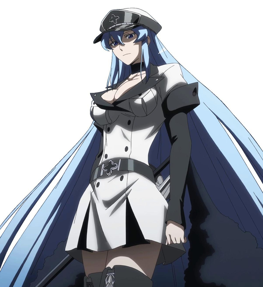 akame_ga_kill! aqua_hair belt blue_eyes blue_hair boots breasts cleavage esdeath esdese female hat highres large_breasts legwear long_hair military military_uniform peaked_cap simple_background skirt solo standing sword thigh_boots thighhighs thighs uniform very_long_hair weapon white_background