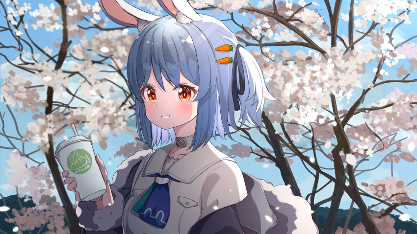 ame. animal_ears black_ribbon blue_hair blue_sky breasts carrot commentary_request cup day disposable_coffee_cup disposable_cup drinking_straw female flower fur-trimmed_jacket fur-trimmed_sleeves fur_trim grey_jacket grin hair_between_eyes hair_ribbon highres holding holding_cup hololive jacket long_sleeves looking_at_viewer official_alternate_hair_length official_alternate_hairstyle outdoors rabbit_ears red_eyes ribbon shirt short_eyebrows short_hair sky small_breasts smile solo thick_eyebrows tree two_side_up upper_body usada_pekora usada_pekora_(casual) virtual_youtuber white_flower white_shirt