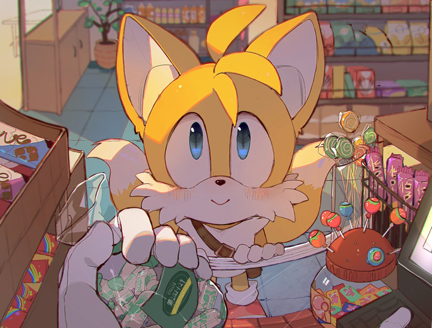 1boy animal_ears animal_nose blue_eyes blush c52278 candy candy_store chinese_commentary closed_mouth commentary dessert food fox_boy fox_ears fox_tail furry furry_male gloves highres looking_at_viewer male_focus multiple_tails plant potted_plant shelf shop smile solo_focus sonic_(series) standing sweets tail tails_(sonic) two_tails white_gloves