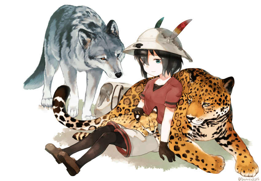 animal animal_on_lap animalization backpack bag black_gloves black_hair black_pantyhose blue_eyes brown_footwear cat_on_lap commentary feline female gloves grey_wolf grey_wolf_(kemono_friends) hat_feather helmet heterochromia highres jaguar jaguar_(kemono_friends) kaban_(kemono_friends) kemono_friends loafers on_lap otter pantyhose pantyhose_under_shorts pith_helmet red_shirt serval serval_(kemono_friends) seto_(harunadragon) shirt shoes short_hair short_sleeves shorts sitting small-clawed_otter_(kemono_friends) solo t-shirt unworn_backpack unworn_bag wolf yellow_eyes