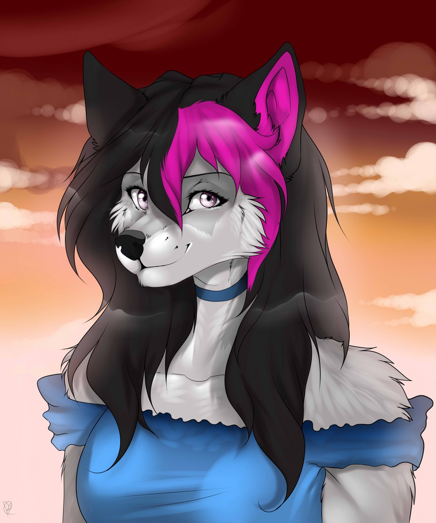 :3 anthro black_hair black_nose black_snout blue_clothing blue_dress blue_neckwear bust_portrait canid canine closed_smile clothed clothing cloud countershading digital_media_(artwork) dress female fur gradient_background grey_body grey_fur hair hi_res jes_(kojotek) light_body long_hair looking_at_viewer magenta_hair mammal manika_nika mouth_closed pink_eyes portrait red_sky shaded simple_background sky smile snout solo sunset