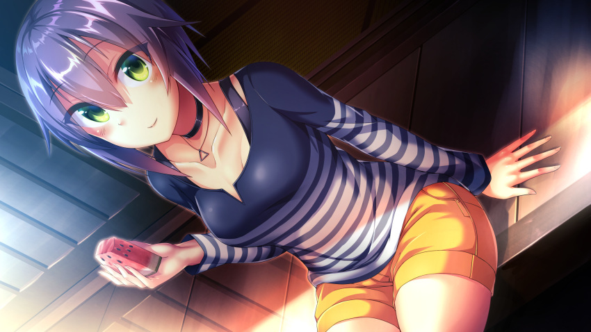 arm_at_side black_choker blush breasts choker closed_mouth collarbone commentary day dosu_(doseven) dutch_angle female food fruit green_eyes hair_between_eyes highres holding holding_food jewelry kuroha_yuki long_sleeves looking_at_viewer medium_breasts medium_hair necklace on_floor orange_shorts original outdoors pendant purple_hair shirt short_shorts shorts sitting sliding_doors smile solo striped_clothes striped_shirt summer sunlight tatami watermelon watermelon_seeds wooden_floor