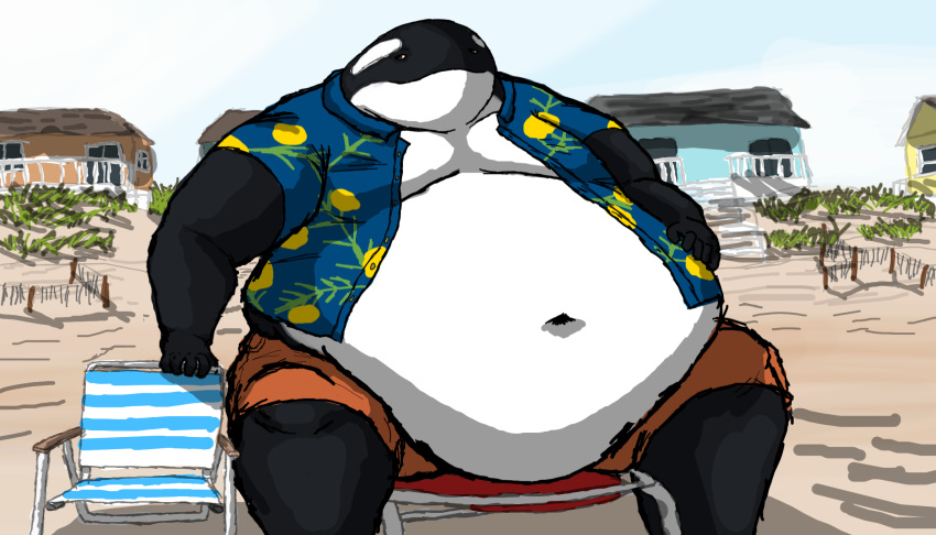 2021 aloha_shirt anthro beach beach_chair belly belly_overhang big_belly black_body bottomwear cetacean clothed clothing comerboy75 dolphin hand_on_belly hi_res looking_at_viewer male mammal marine moobs navel obese obese_anthro obese_male oceanic_dolphin open_clothing open_shirt open_topwear orca oswald_(comerboy75) overweight overweight_anthro overweight_male pattern_clothing pattern_shirt pattern_topwear shirt shorts sitting solo toothed_whale topwear