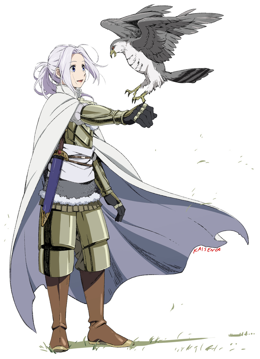 1boy absurdres armor arslan arslan_senki bad_id bad_pixiv_id bird blue_eyes cape highres long_hair official_style umishima_senbon white_hair