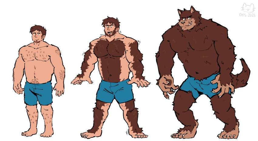 1boy animal_ears bara beard belly brent_(solidweller) brown_fur facial_hair full_beard full_body furrification furry furry_male goatee highres large_pectorals looking_at_viewer looking_down male_focus medium_sideburns motion_lines multiple_views muscle_growth muscular muscular_male no_nipples original pectorals plump short_hair short_shorts shorts soildweller sparse_chest_hair sparse_leg_hair standing strongman_waist thick_eyebrows topless_male transformation very_hairy werewolf whiskers wolf_boy wolf_ears