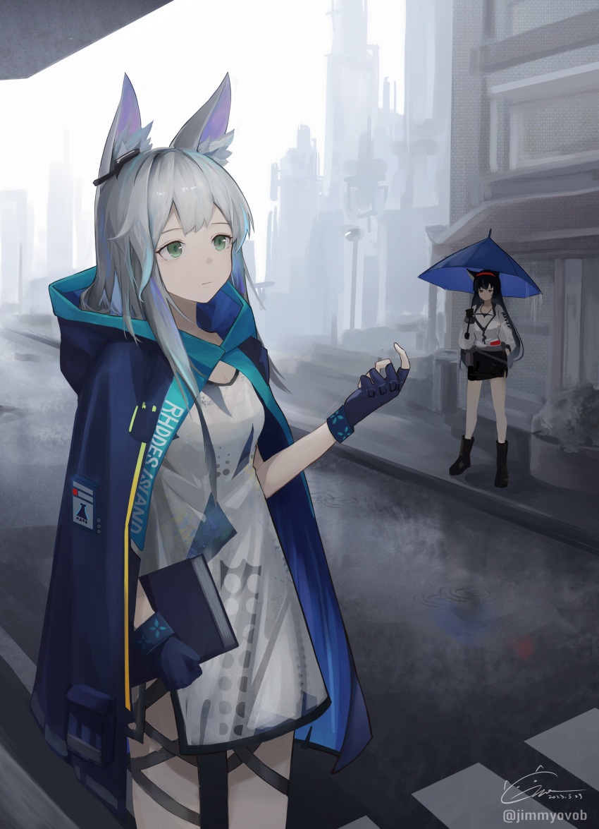 2girls absurdres animal_ear_fluff animal_ears arknights black_footwear black_skirt blaze_(arknights) blue_cape blue_gloves book boots cape closed_mouth dress fingerless_gloves full_body gloves gmi_(jimmyovob) green_eyes grey_hair hand_up highres holding holding_book holding_umbrella hood hooded_cape long_hair long_sleeves looking_up multicolored_hair multiple_girls outdoors rain road rosmontis_(arknights) shirt short_dress signature skirt standing streaked_hair twitter_username umbrella white_dress white_shirt