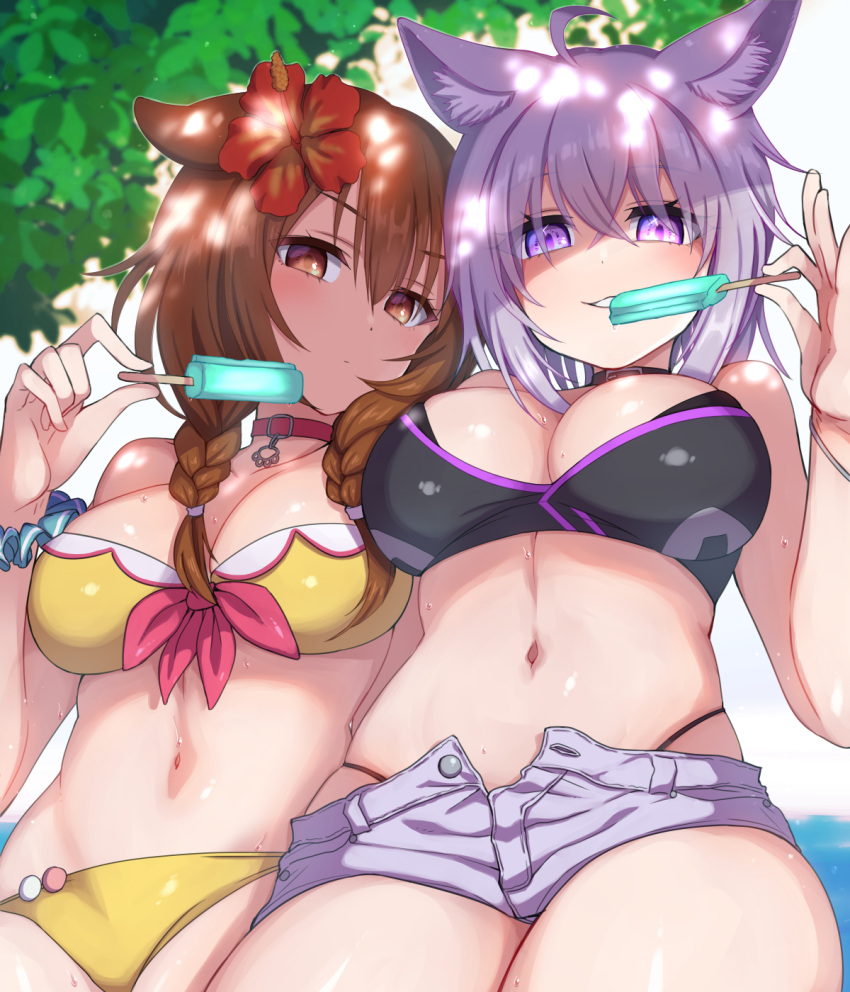 2girls adapted_costume ahoge animal_ears bikini black_bikini black_choker blue_scrunchie braid breasts brown_eyes brown_hair cat_ears cat_girl choker commentary_request dog_ears dog_girl flower food hair_flower hair_ornament highres hololive inugami_korone inugami_korone_(1st_costume) konboi-eg large_breasts looking_at_viewer multiple_girls navel nekomata_okayu open_fly popsicle purple_eyes purple_hair red_choker scrunchie short_hair short_shorts shorts smile sweat swimsuit thighs twin_braids virtual_youtuber wrist_scrunchie yellow_bikini