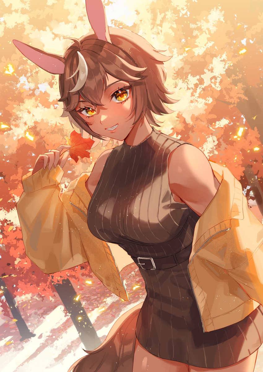 absurdres animal_ears autumn_leaves belt black_belt black_dress breasts brown_hair dress eyelashes female grin harushio highres holding holding_leaf horse_ears horse_girl horse_tail indie_virtual_youtuber jacket leaf open_clothes open_jacket ribbed_dress second-party_source short_hair sleeveless sleeveless_dress smile solo star_(symbol) star_in_eye symbol_in_eye tail tan tomoe_umari tree virtual_youtuber yellow_eyes yellow_jacket zipper