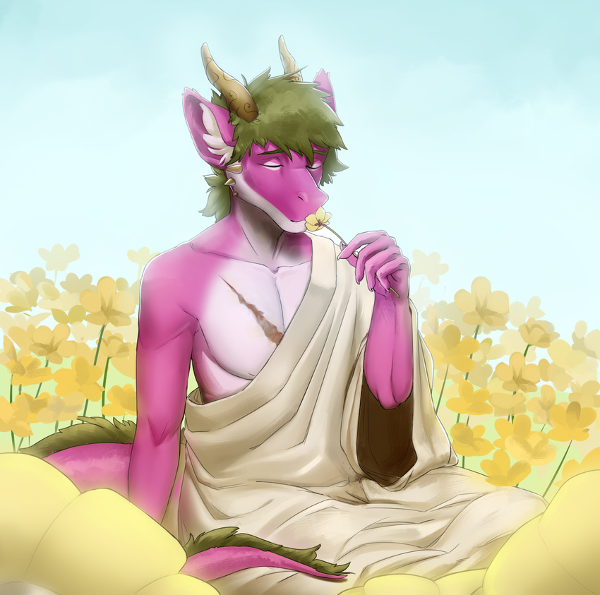 2017 anthro closed_eyes clothed clothing diandre dragon flower fur green_hair hair hi_res holding_flower holding_object horn male mythological_creature mythological_scalie mythology pink_body pink_fur plant scalie scar simple_background solo stesha_di tail white_body white_fur