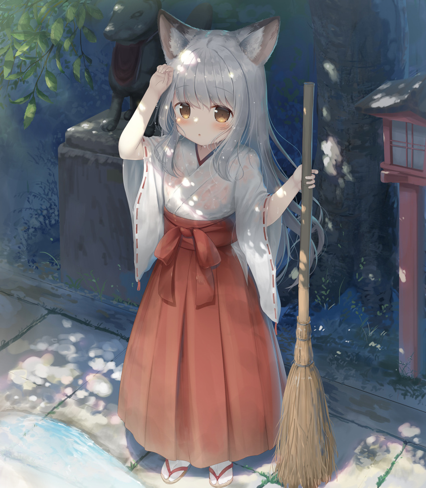 :o animal_ear_fluff animal_ears arm_up bangs blush breasts broom brown_eyes commentary_request dappled_sunlight day eyebrows_visible_through_hair female foliage fox_ears fox_girl fox_statue full_body grass grey_hair hakama hakama_skirt hand_on_own_forehead hand_up highres holding holding_broom japanese_clothes kimono lantern lolicon long_hair long_skirt looking_at_viewer miko original outdoors parted_lips pavement pleated_skirt pond psyche3313 puddle red_hakama red_ribbon red_skirt ribbon ribbon-trimmed_sleeves ribbon_trim sandals see-through_kimono shadow short_sleeves sidelocks silver_hair skirt socks solo standing statue sunlight tabi tree tree_shade very_long_hair water wet wet_clothes wet_kimono white_kimono white_legwear wide_sleeves wiping_sweat wooden_lantern zouri