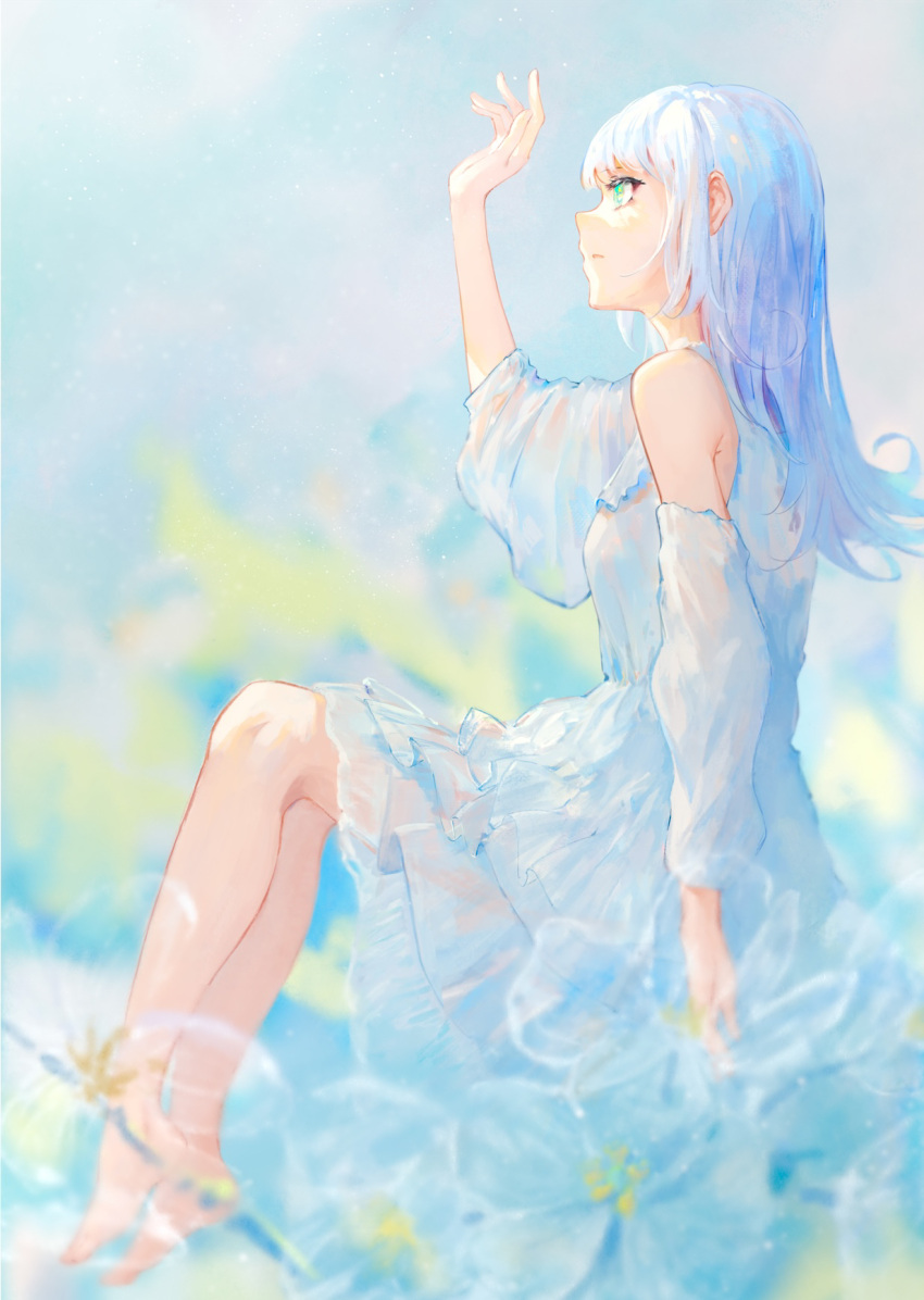 arm_up bare_legs barefoot blue_hair blurry blurry_background blurry_foreground commentary_request depth_of_field detached_sleeves dress female floral_background flower from_side green_eyes highres invisible_chair kisei2 long_hair long_sleeves multicolored_hair original plantar_flexion profile puffy_long_sleeves puffy_sleeves see-through sitting skeleton_flower_(plant) sleeveless sleeveless_dress solo transparent_flower white_dress white_hair white_sleeves