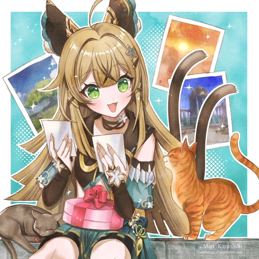 :d ahoge animal_ears black_choker blonde_hair box cat_ears cat_tail choker commentary_request detached_sleeves feline female genshin_impact gift gift_box green_eyes highres holding holding_photo karanashi_mari kirara_(genshin_impact) long_hair long_sleeves multiple_tails open_mouth photo_(object) sitting smile solo tail two_tails very_long_hair