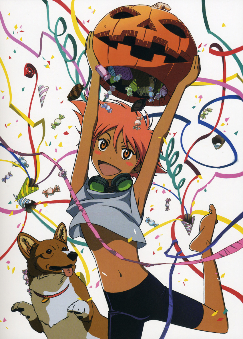 candy canid canine canis cowboy_bebop dessert domestic_dog duo edward_wong_hau_pepelu_tivruski_iv ein_(cowboy_bebop) eyewear female food goggles goggles_around_neck halloween herding_dog hi_res holidays human jack-o'-lantern lolicon male mammal not_furry_focus official_art pastoral_dog tongue tongue_out welsh_corgi young